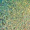 90 Target Rainbow Candy CBS Dichroic on Dew Drop Thin Black Glass